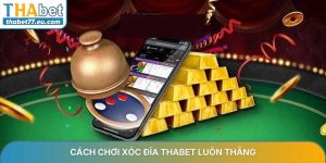 Cách chơi xóc đĩa THABET luôn thắng và bí quyết thành công