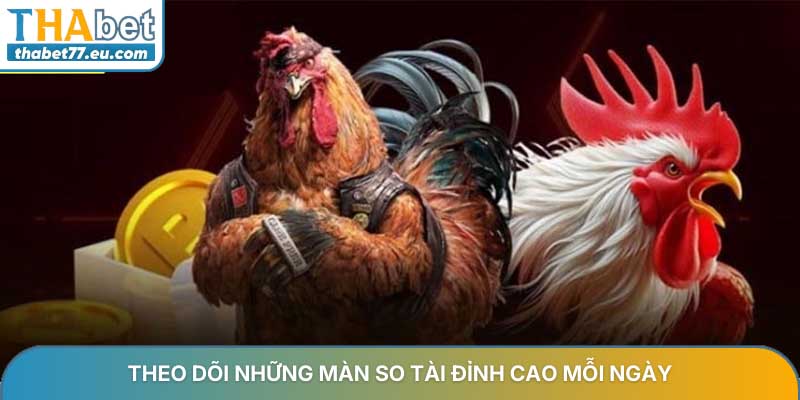 Theo dõi những màn so tài chiến kê đỉnh cao mỗi ngày