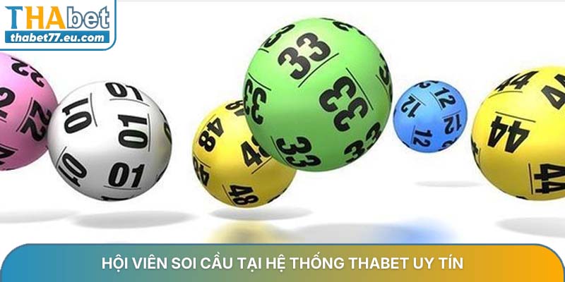 Hội viên soi cầu tại hệ thống Thabet uy tín