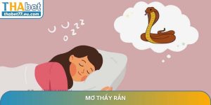 Mơ thấy rắn - Ý nghĩa tâm linh và bộ số may mắn tại Thabet