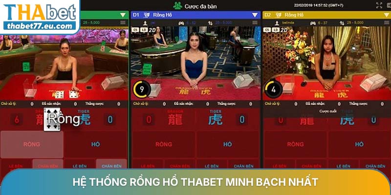 Hệ thống rồng hổ THABET minh bạch nhất